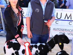 2019_ausstellung polling_647